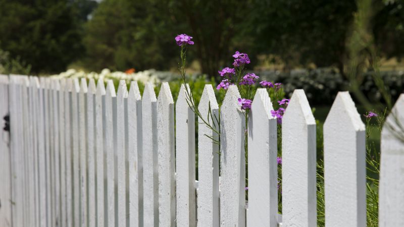 Vitt trästaket med grönska och blommor i bakgrunden.