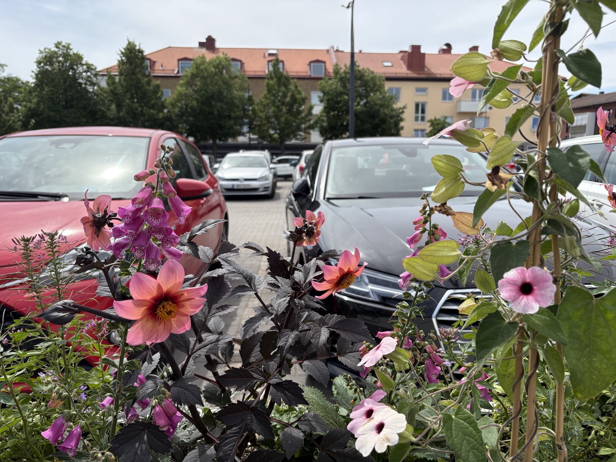 Parkering på sommartorget