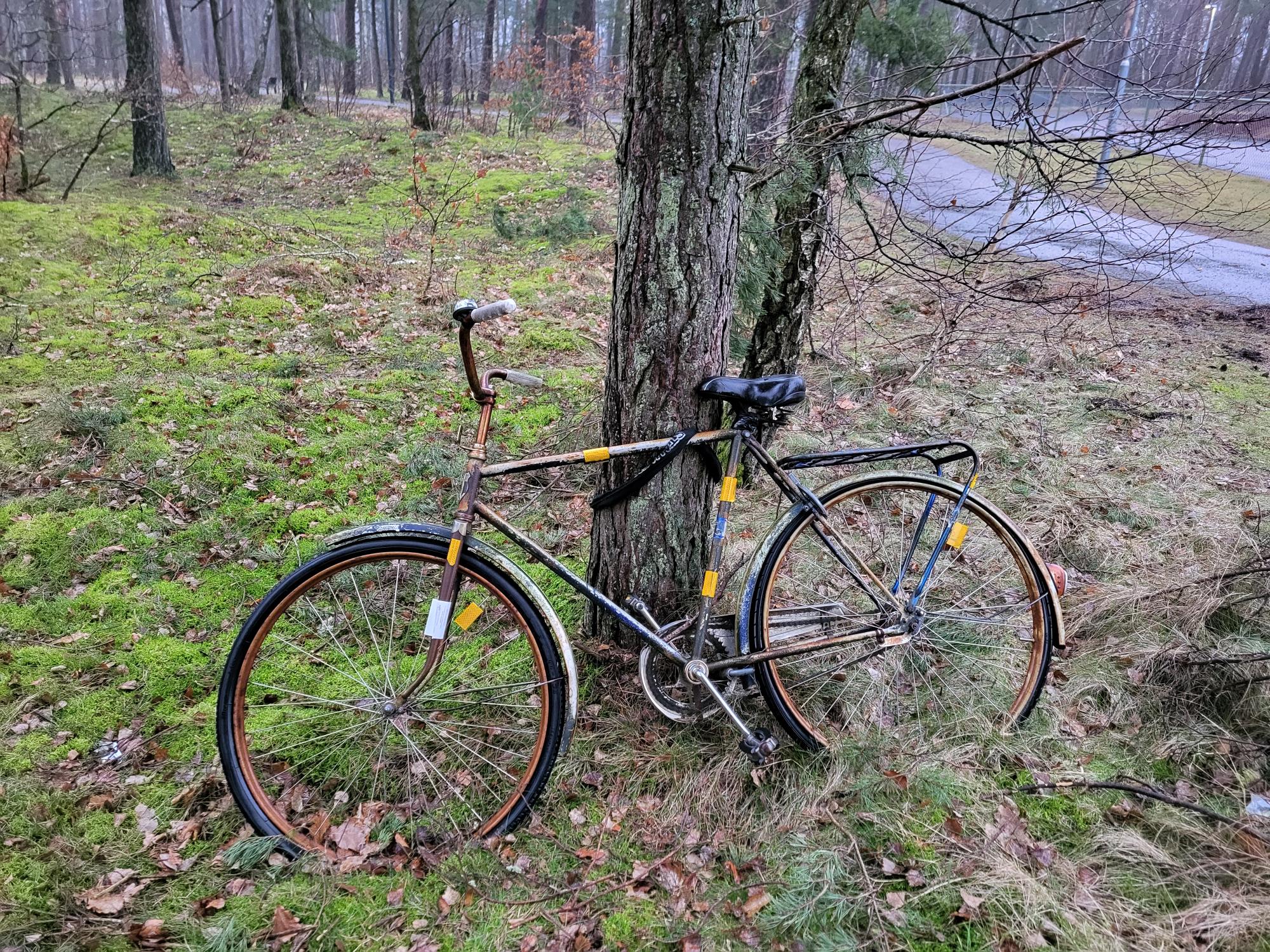 Övergiven cykel står lutad mot ett träd i skogen