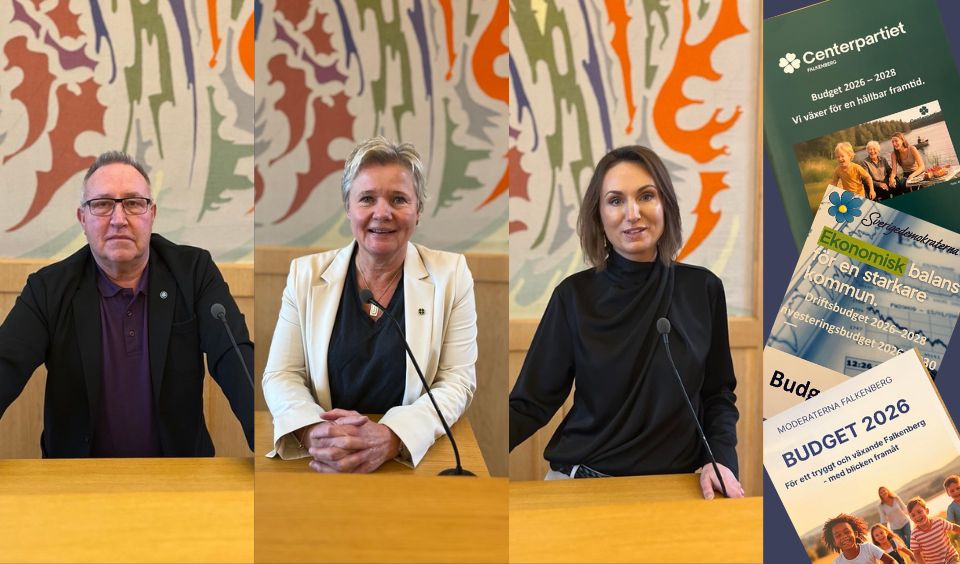 En kollgebild med porträtt på poliker i talarstolen samt budgerarna.