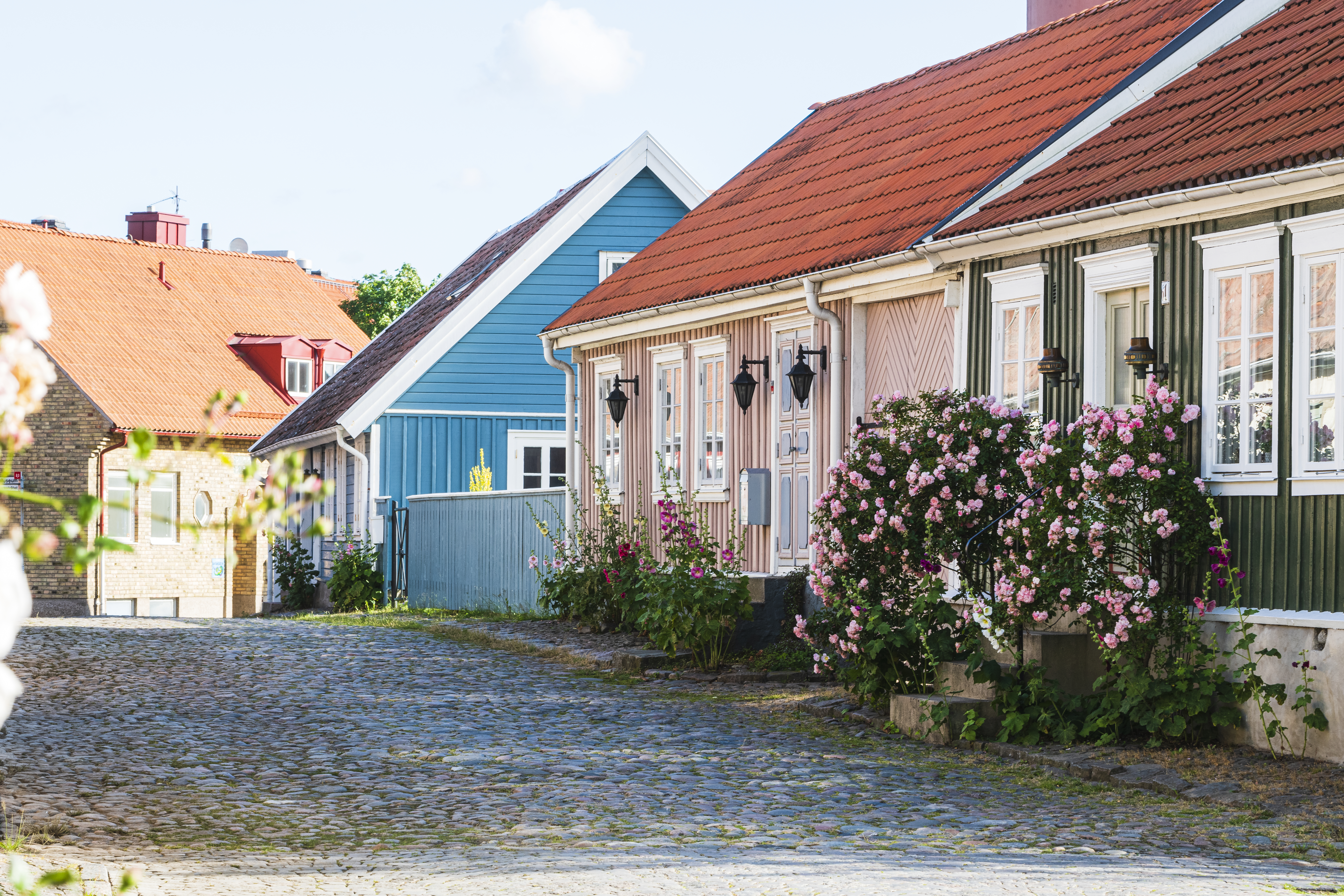 Bebyggelse och kullerstensgata i sommaridyll, Gamla stan i Falkenberg