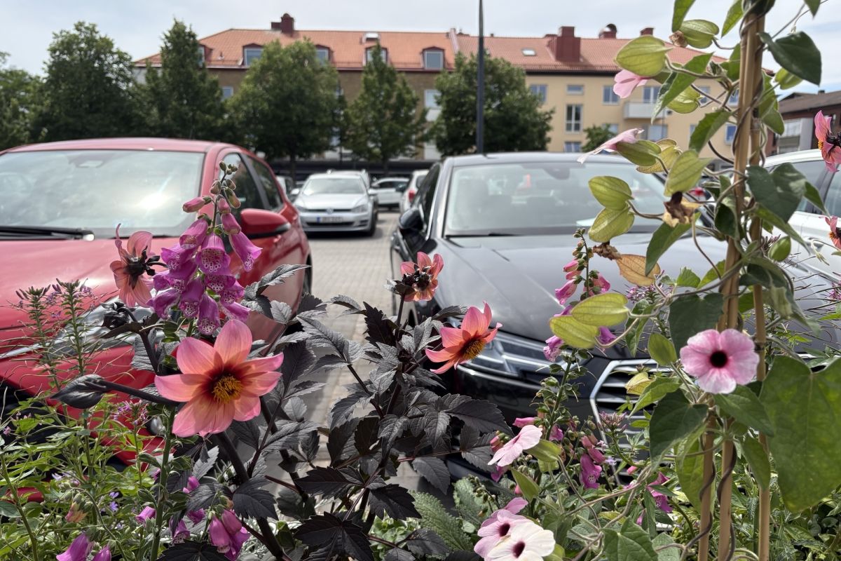 Parkering på sommartorget