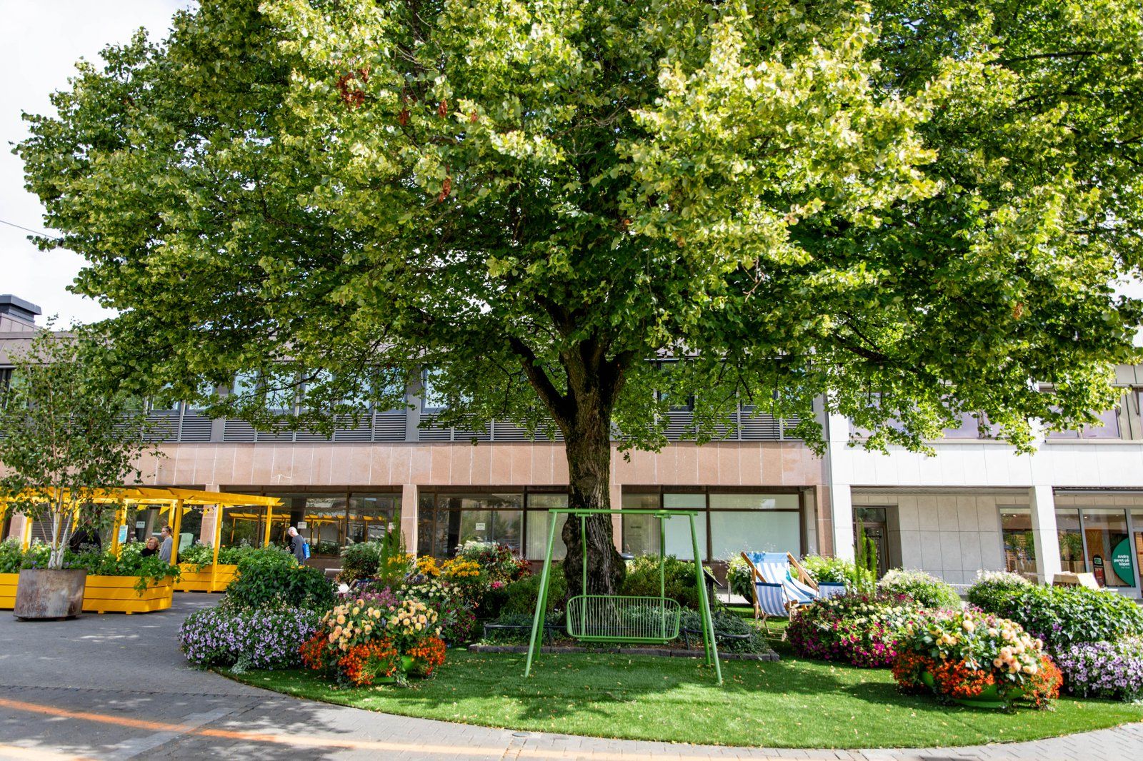 Träd med hängyta och planteringar på sommartorget