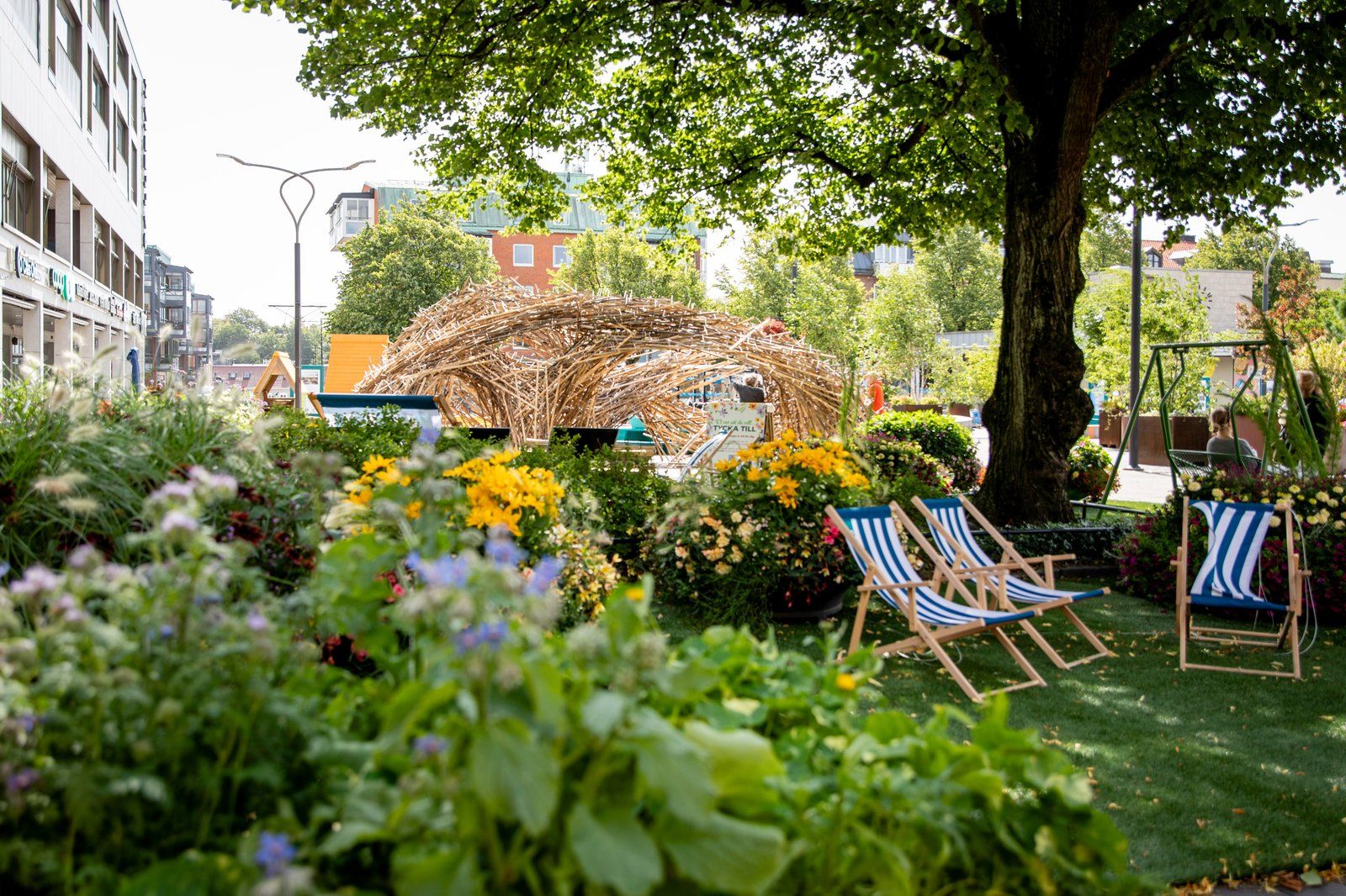 Blommande sommartorg med solstolar i skuggan av ett stort träd.